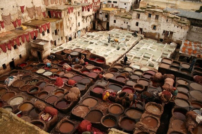 Fes to Marrakech desert tour 3 days - Key highlights to look for on this Fes to Marrakech desert tour