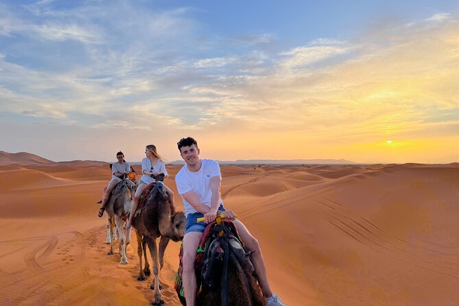 Fes to Marrakech desert tour 3 days - Day 1: Fez pickup, Ifrane, cedar forest stops, and Merzouga’s dunes at golden hour