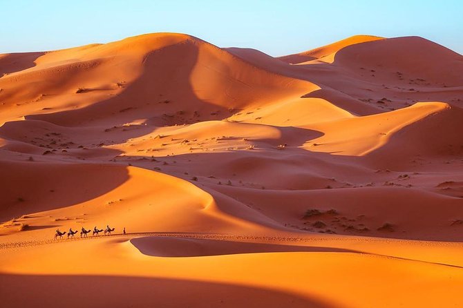 Fes to Marrakech desert tour 3 days - Should you book the Fes to Marrakech desert tour?