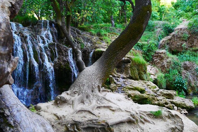 Fes to Middle Atlas Private Day Trip - Ifrane’s gardens and the stone lion photo moment