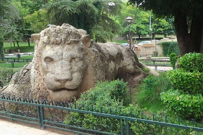 Fes to Middle Atlas Private Day Trip - Azrou’s cedar forests and the Barbary macaque highlight