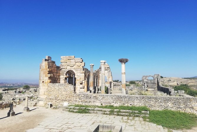 Fes to Volubilis, Moulay Idriss and Meknes Private Day Trip - Driver support: languages, punctuality, and where a guide might still help