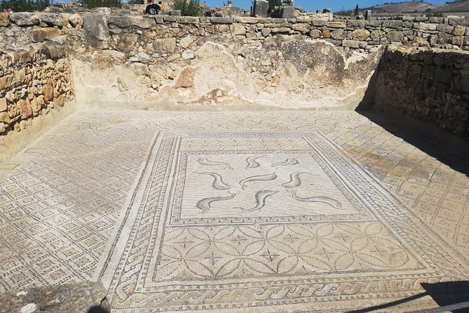 Fes to Volubilis, Moulay Idriss and Meknes Private Day Trip - Timing, road time, and how to make the day feel less exhausting
