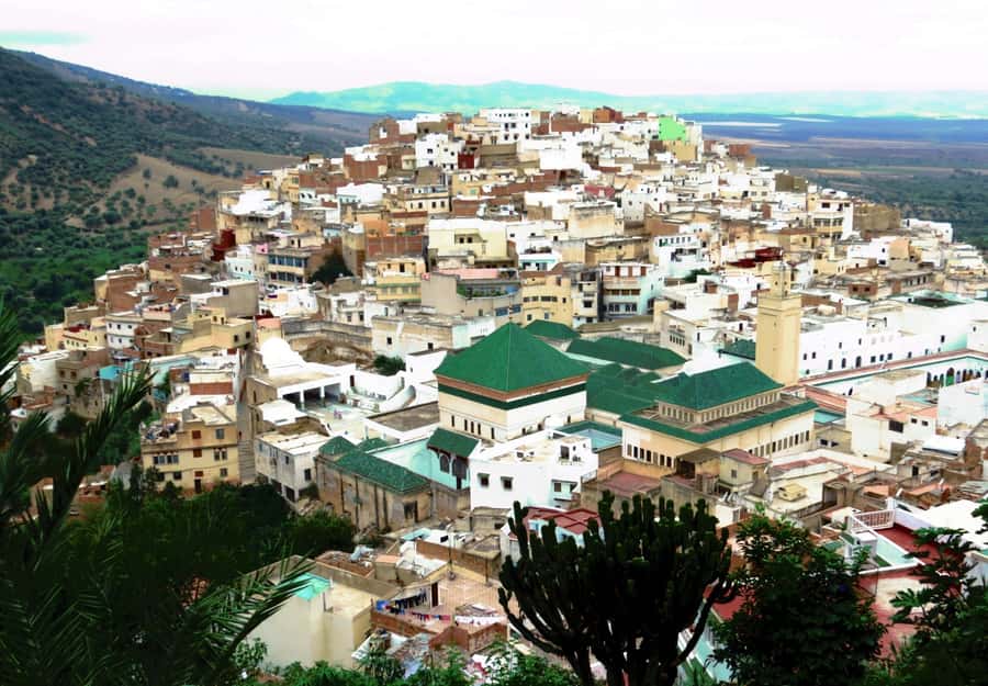 Fes: Volubilis Roman Ruins, Mouly Idriss, & Meknes Day Trip - Price and logistics: what you really pay for