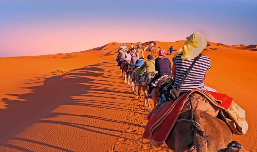Fez: 2 Day-1 Night Luxury Sahara Desert Trip to Fez/Marakech - Ifrane stop: a cool reset before the desert heat