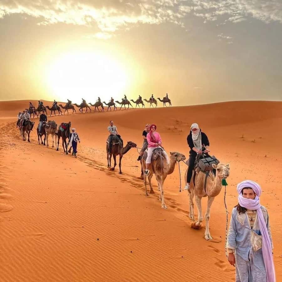 Fez: 2 Day-1 Night Luxury Sahara Desert Trip to Fez/Marakech - Merzouga sunset camel ride: the moment you booked for