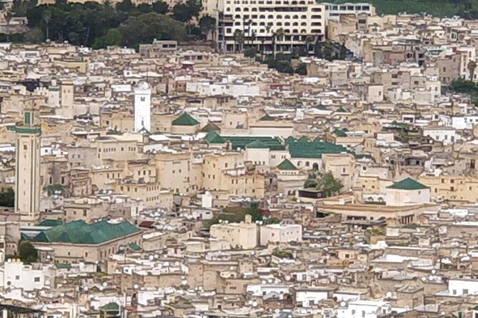 Fez guided Tour with a Local Guide - Why a Local Guide Makes Fez Feel Understandable