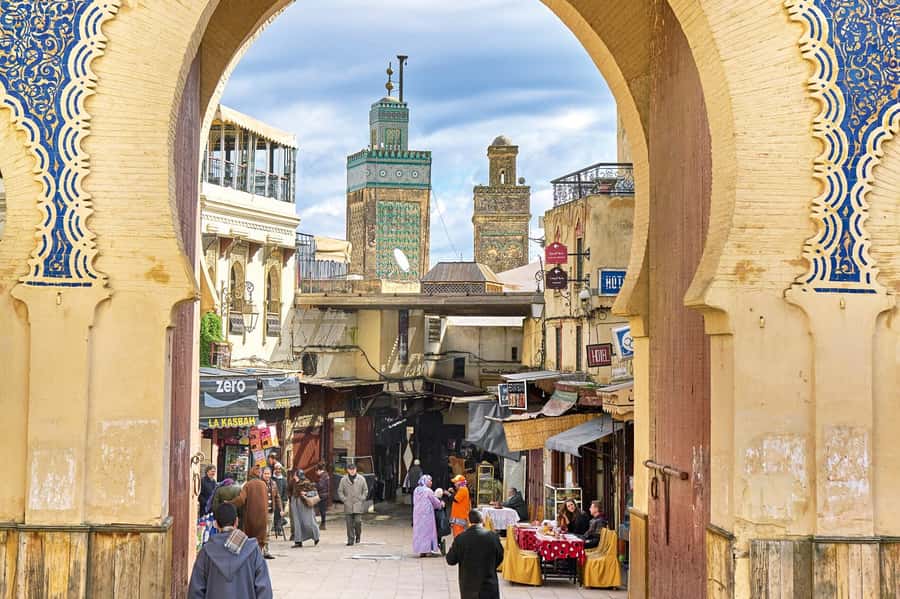 Fez: Half-Day Sightseeing Tour - Leather tanneries: a must-see, even if you come with mixed feelings