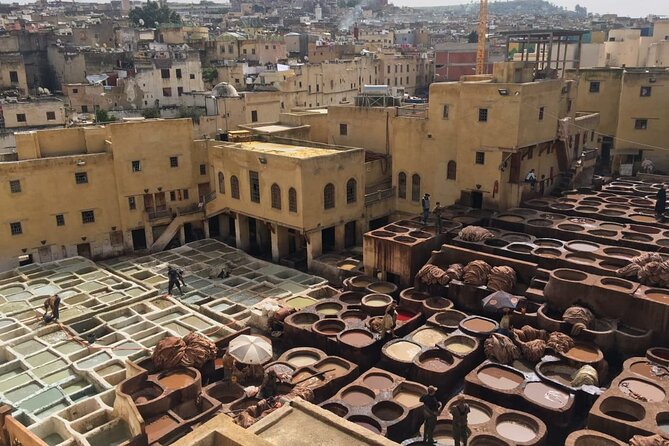 Fez Half Day Tour - Who should book this tour, and who might skip it