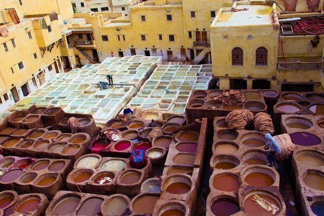 Fez Medina 4-Hour Guided Walking Tour - Nejjarine Fountain and Museum Fees: What to Budget on the Spot