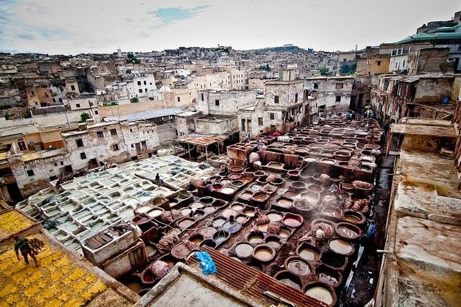 Fez Medina 4-Hour Guided Walking Tour - The Mosque Stops: Kairaouine and Andalusian, Plus Entry Rules