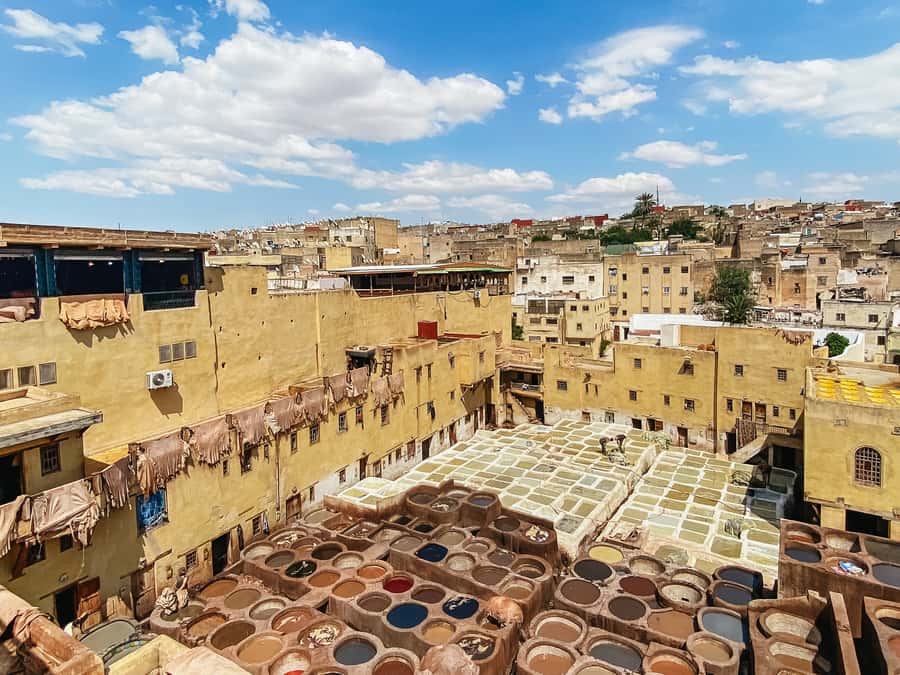 Fez Medina Guided Tour - Guide Matters More Than You Think, and Here’s What Stood Out