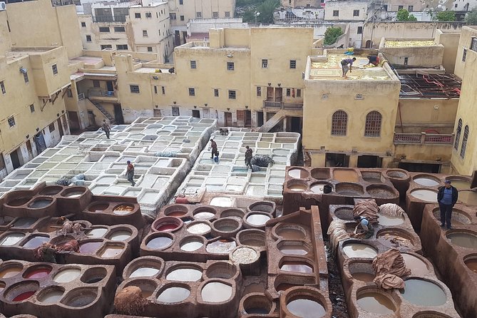 Fez Medina half day walking Tour - Craft cooperatives you can actually watch: wood museum, weavers, and tradespeople
