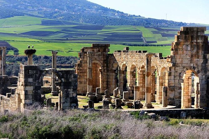Fez to Meknes,Moulay Idriss & Volubilis Day Trip - How this Fez day trip stacks up for value
