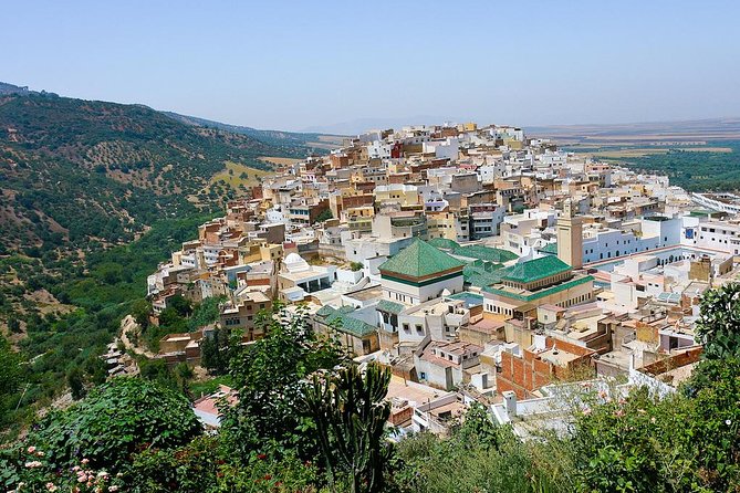 Fez to Meknes,Moulay Idriss & Volubilis Day Trip - Timing, pickups, and how the day actually runs