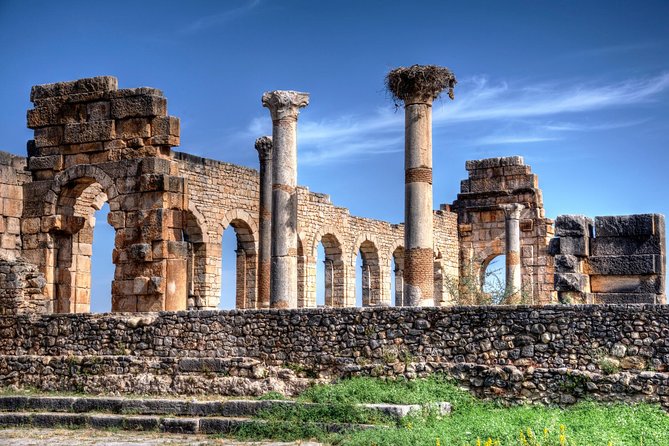 Fez to Meknes,Moulay Idriss & Volubilis Day Trip - Meknes Medina and Moulay Ismail’s imperial city vibe