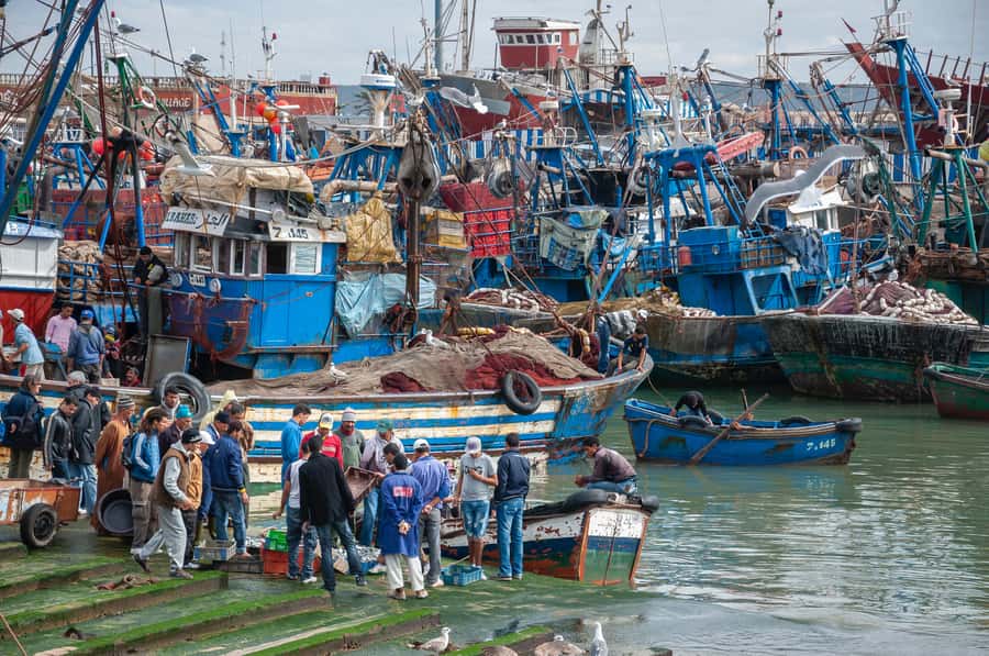 Friend-Guide Essaouira city tour - Key Highlights You Will Actually Feel