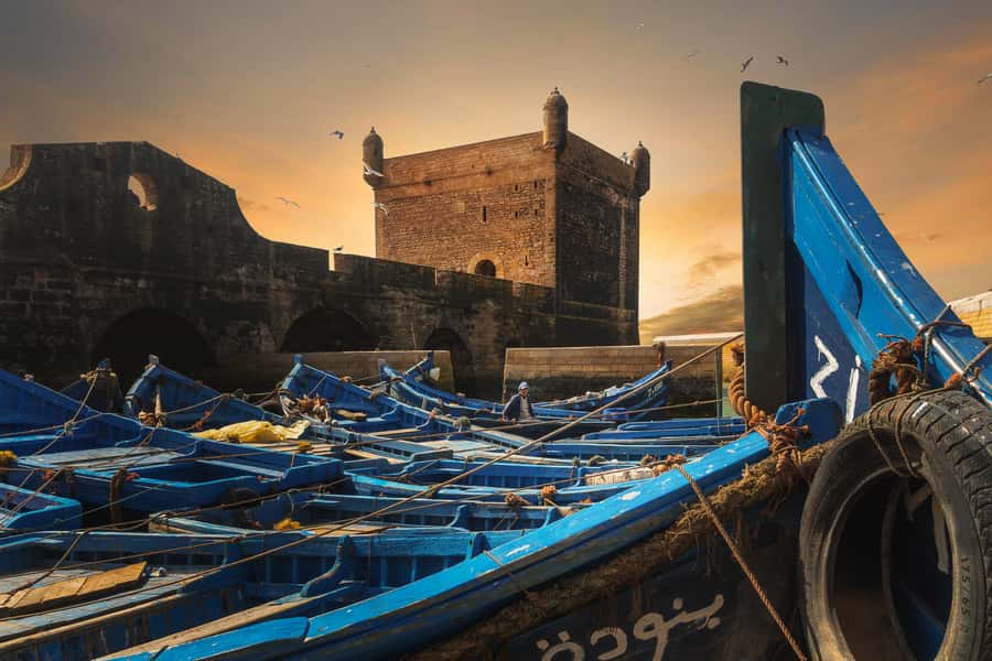 Friend-Guide Essaouira city tour - Harbor First: Sea Views, Working Boats, and Oysters of the Day