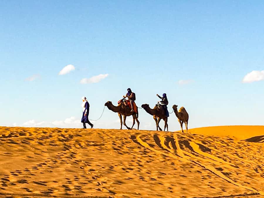 From Agadir: 4×4 Jeep Sahara Desert Tour with Lunch - Key highlights worth planning for