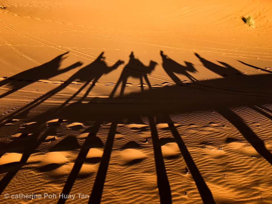 From Agadir: 4×4 Jeep Sahara Desert Tour with Lunch - From River Valley to Ocean Viewpoints: The Route That Sets the Tone