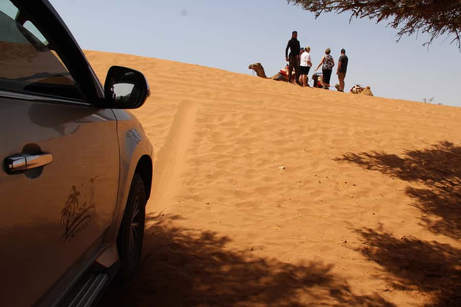 From Agadir: 4×4 Sahara Desert Safari with Lunch and Pickup - Who this 1-day 4x4 safari is for