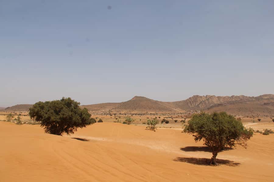 From Agadir: 4×4 Sahara Desert Safari with Lunch and Pickup - Lunch in a Berber house: tagine pot, couscous, and seasonal fruit