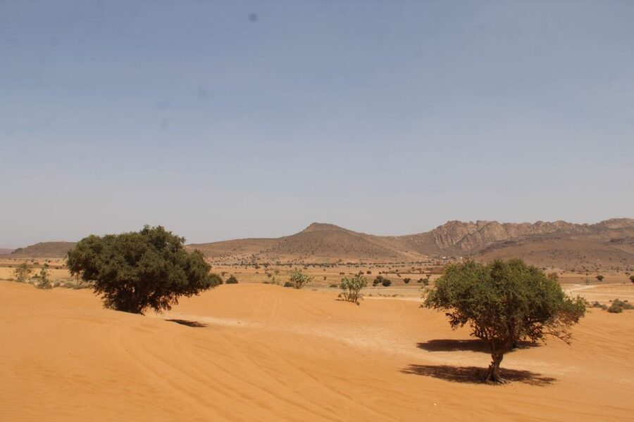 From Agadir: 4×4 Sahara Desert Safari with Lunch and Pickup - Sahara dunes time, banana oasis vibes, and the camel ride option