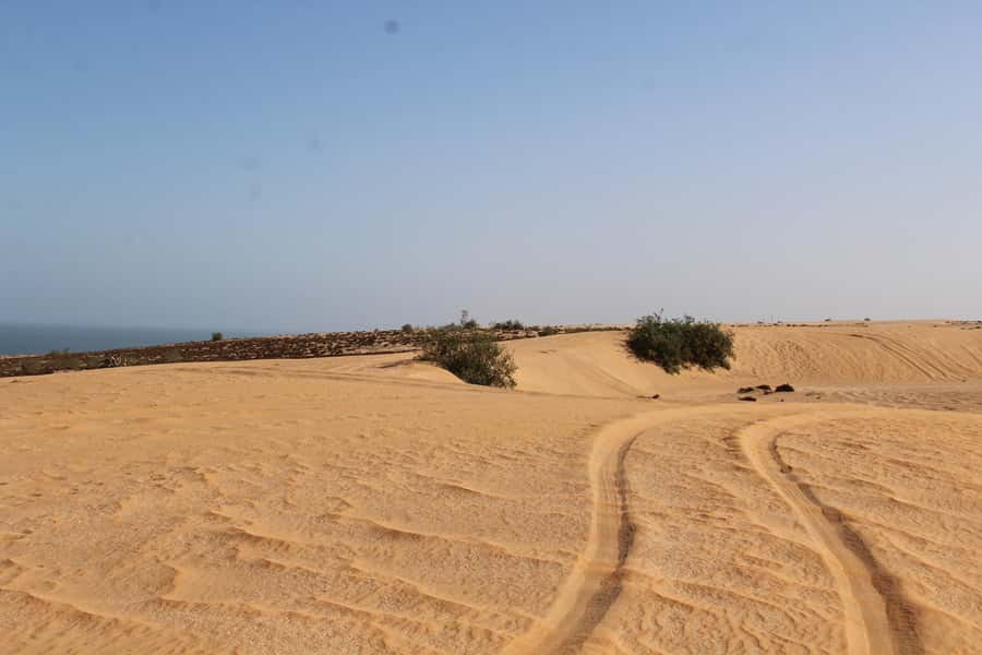 From Agadir: 4×4 Sahara Desert Safari with Lunch and Pickup - Language support: mixing groups without losing the plot