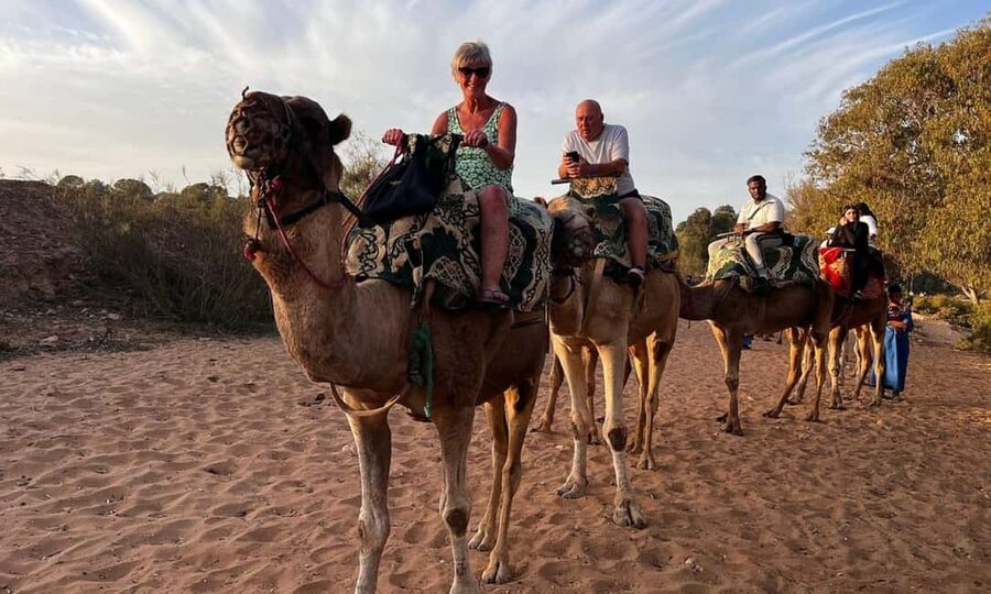 From Agadir: Camel Ride and Flamingo Trek - From Agadir to the Souss River: what the ride is really like