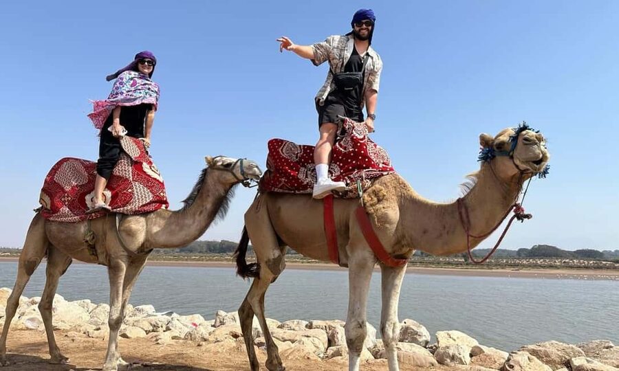 From Agadir: Camel Ride and Flamingo Trek - Photos and tea: the small extras that can matter