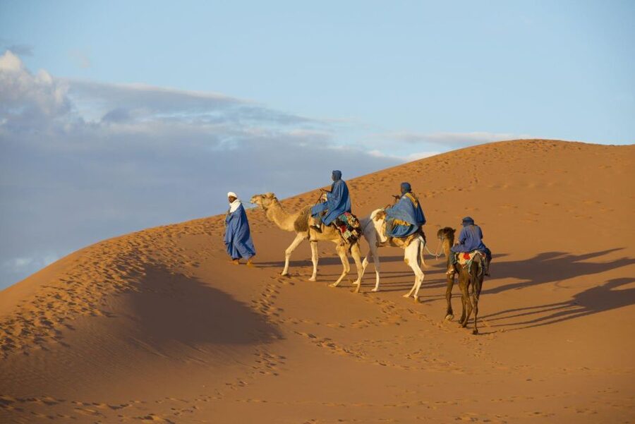 From Agadir: Camel Ride and Flamingo Trek - Price and value: why $19 can work, and when it might not
