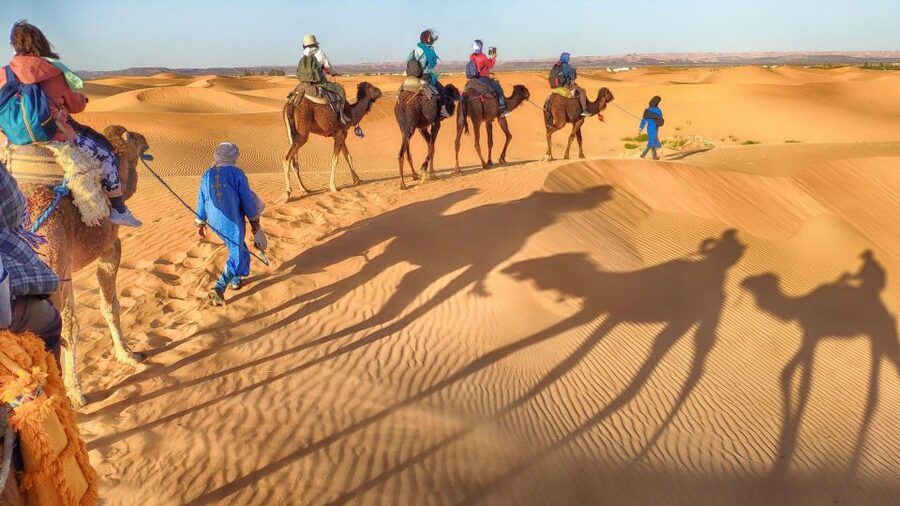 From Agadir: Camel Ride and Flamingo Trek - Should you book? My decision guide