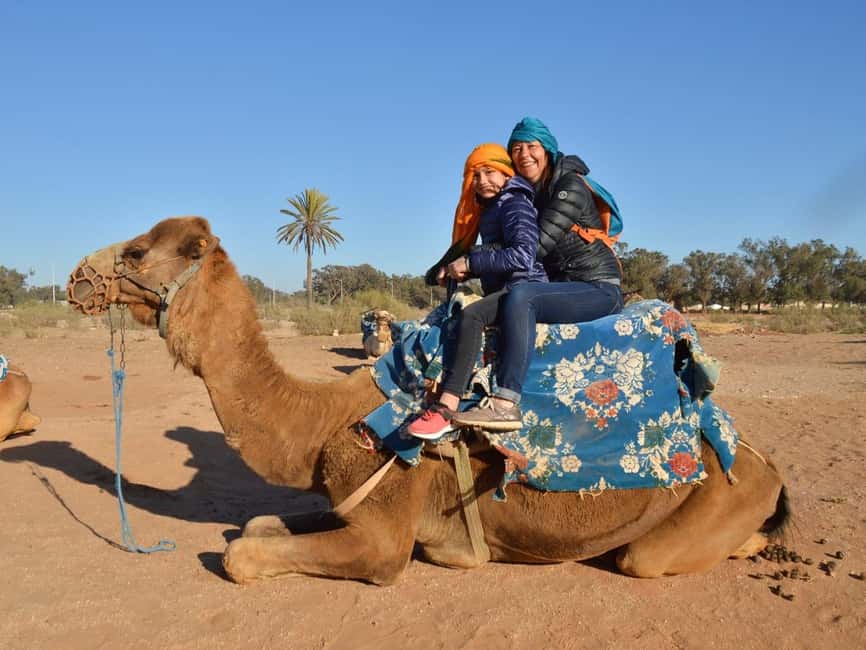 From Agadir: Camel Ride and Flamingo Trek - Flamingoes on the Souss River: how close will you get