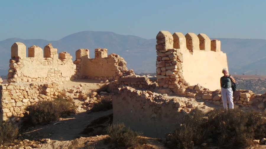 From Agadir: City Tour with Hotel or Port Transfers - Price and Logistics: What $11 Really Means for Your Day