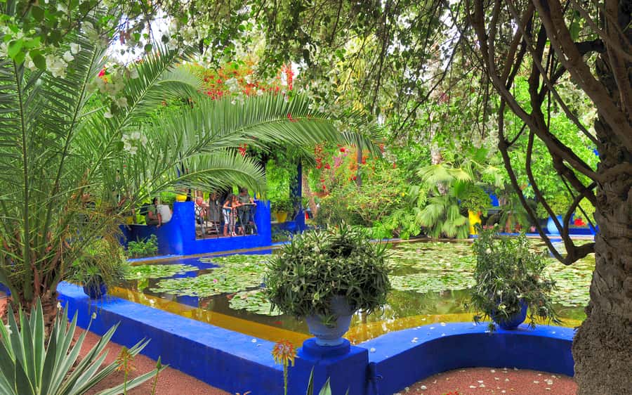 From Agadir: Guided Day Trip to Marrakech - Key Takeaways Before You Go