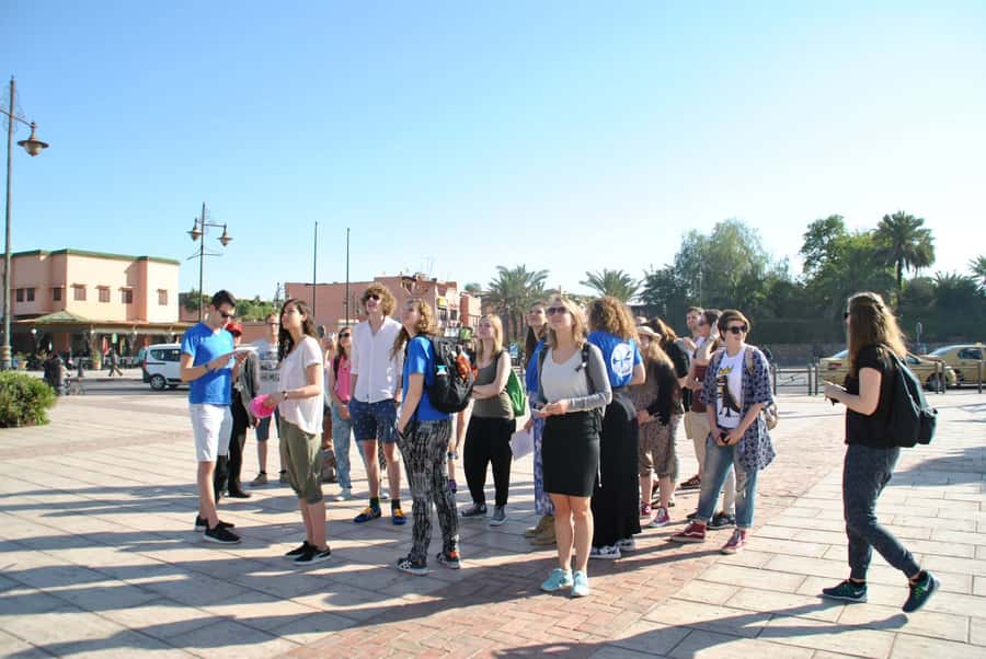 From Agadir: Guided Day Trip to Marrakech - Price and Value: Is $53 a Good Deal from Agadir?