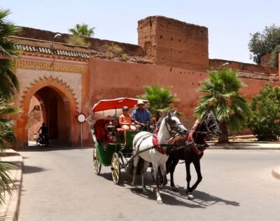 Guided Day Trip to Marrakech