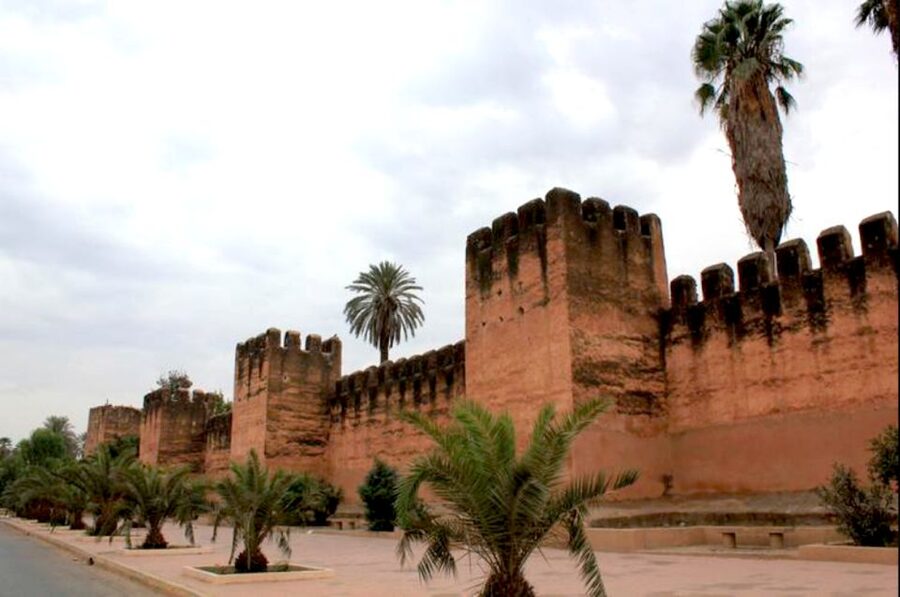 From Agadir: Half-Day Tour to Taroudant - Key things that make this tour work