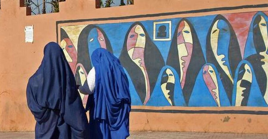 From Agadir: Half-Day Tour to Taroudant - The Souss Valley drive: where the scenery sets the tone