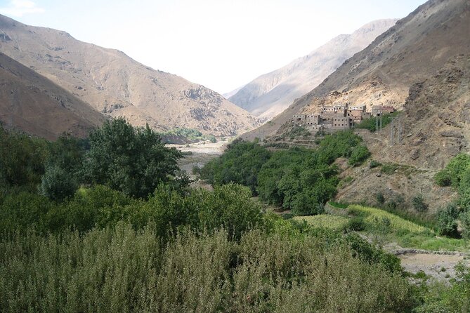 From Agadir Hotel or Port : Paradise Valley Trip - Port or Hotel Pickup and Air-Conditioned Comfort