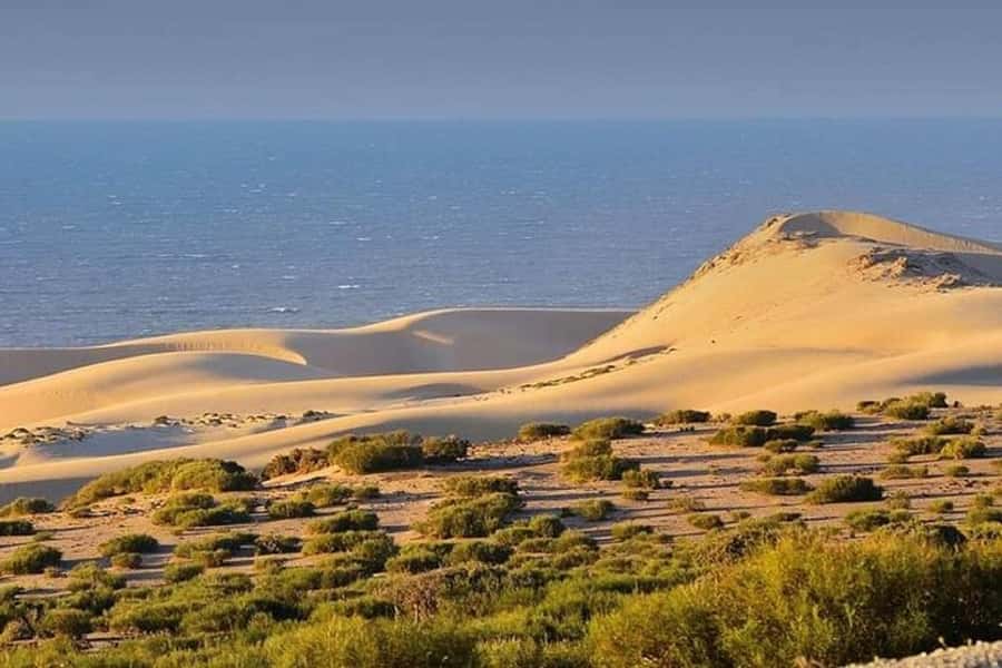 From Agadir: Jeep Desert Safari with Lunch and Camel Ride - Key Highlights You Should Know Before You Go