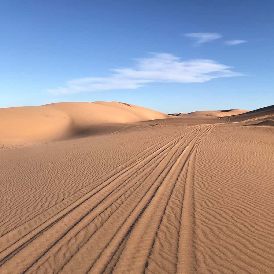 From Agadir: Jeep Desert Safari with Lunch and Camel Ride - Jeep Off-Road Time: What You Actually Get From the 4x4 Ride