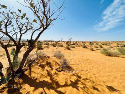 Jeep Desert Safari with Lunch and Camel Ride