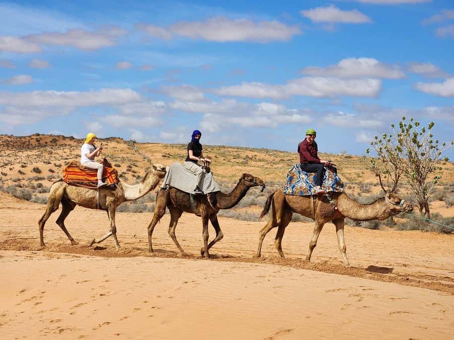 From Agadir: Jeep Desert Safari with Lunch and Camel Ride - Tiznit: Silver Workshops, Walled Ramparts, and a Walk Through the Medina