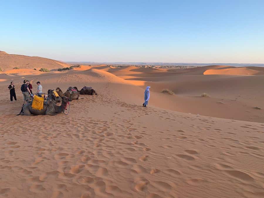 From Agadir: Jeep Desert Safari with Lunch and Camel Ride - Berber House Lunch: Tagine, Fruit Dessert, and Included Coffee or Tea