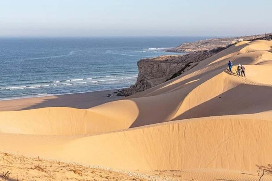 From Agadir: Jeep Desert Safari with Lunch and Camel Ride - Youssef Ben Tachfin Reservoir and Souss River Flamingos