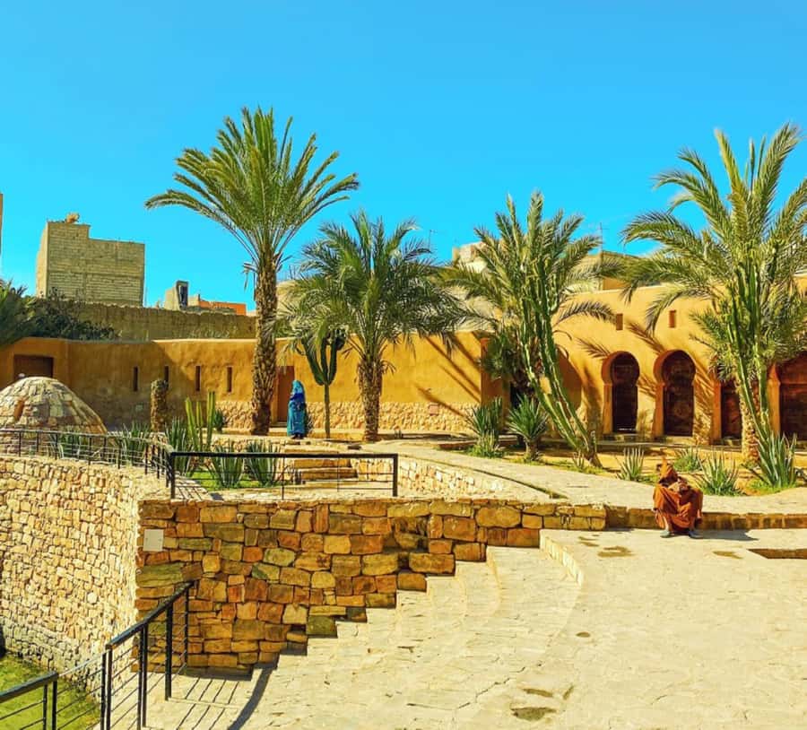 From Agadir: Legzira Beach & Tiznit Day Trip with Lunch - My decision guide: should you book Bakhazouz Tours’ Agadir Legzira and Tiznit day trip?