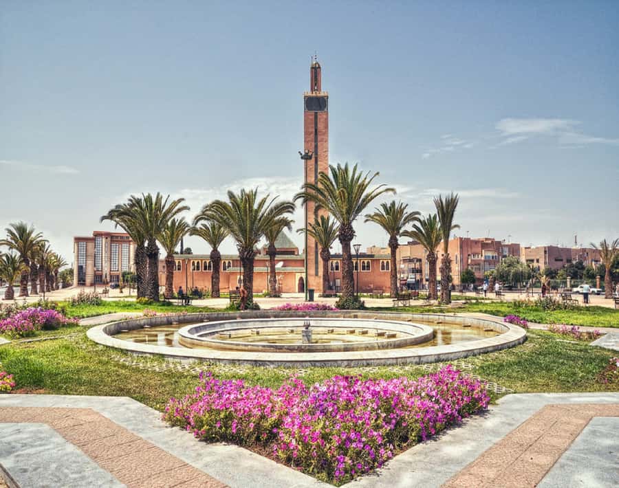 From Agadir: Legzira Beach & Tiznit Day Trip with Lunch - Who should book this Legzira and Tiznit day trip