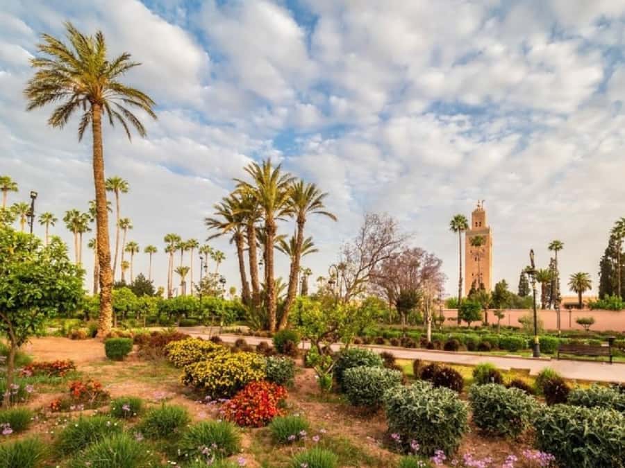 From Agadir: Marrakech Guided Day Trip - Key Things to Know Before You Go