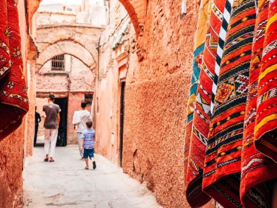 From Agadir: Marrakech Guided Day Trip - Price and Logistics: Is $32 Good Value?
